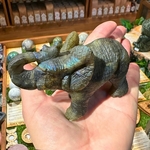 elephant-labradorite-animal-totem4