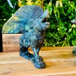 LOUP_LABRADORITE14