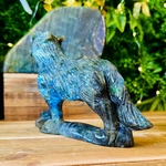 LOUP_LABRADORITE17