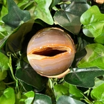 SPHERE_AGATE_DRUSE1