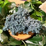 agate-raisin17
