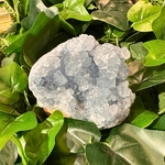 celestine-brute-geode13