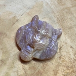 TIGRE_ANIMAL_TOTEM2