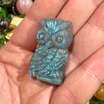 hibou-labradorite2