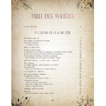 grimoire-astuce-sorciere-extramandine978-2-38578-068-5_img_3