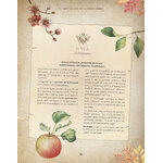grimoire-astuce-sorciere-extramandine978-2-38578-068-5_img_11