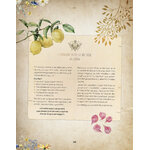 grimoire-astuce-sorciere-extramandine978-2-38578-068-5_img_17