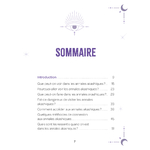 les-annales-akashiques-isabelle-cerf3
