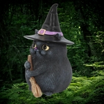 chat-sorcier
