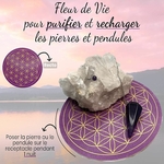 fleur-de-vie-bovis3