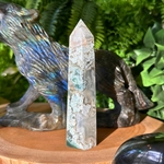 POINTE_AGATE_MOUSSE1