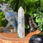 POINTE_AGATE_MOUSSE2