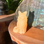 chat-calcite-jaune14