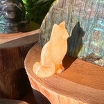 chat-calcite-jaune15