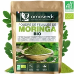 moringa-poudre1