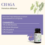 CHAGA_0d5689f9-4bc6-42a3-8b76-b244b23283b0.png