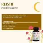 REISHI_3baaf81a-df5e-445c-b1ef-b45b381137c2.png