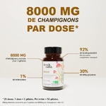 REISHI_G_French_Mush_complements_alimentaires_a_base_d_extraits_de_champignons_medicinaux_biologiques_fabriques_en_France.png