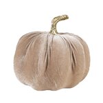 citrouille-grise