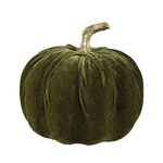 citrouille-verte