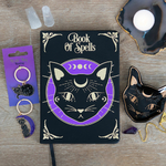 cahier-note-chat9902b1d202ed1b622833a28467502103397f715d4f62ac1c094d5a6abdd575f0