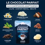 chocolat-parfait-champignons