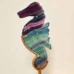 hippocampe-fluorite2
