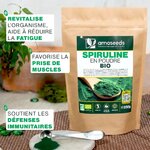 SpirulinePoudreBio-amoseedsspecialistedessuperalimentsbio_5_1080x