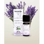 huile-essentielle-bio-lavande-fine