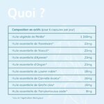 alternativ-aroma-composition-actifs