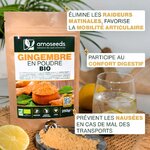 gingembre-poudre-amoseeds1