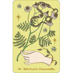978-2-38297-156-7_img_9
