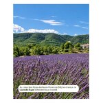 huile-essentielle-bio-lavandin-super-