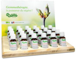 GEMMOTHERAPIE-BIO-Herboristerie