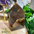 agate-marron-ternatur