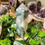 POINTE_AGATE_MOUSSE