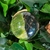 tremolite-verte