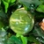 tremolite-verte