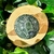 sphere-seraphinite