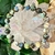 baryte-bracelet