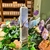 JASPE_PAYSAGE_POINTE
