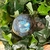 sphere-labradorite13