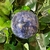sphere-cyanite-bleue1