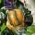 jaspe-bourdon-bumble-bee-sphere15