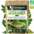 moringa-poudre1