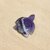 tortue-amethyste