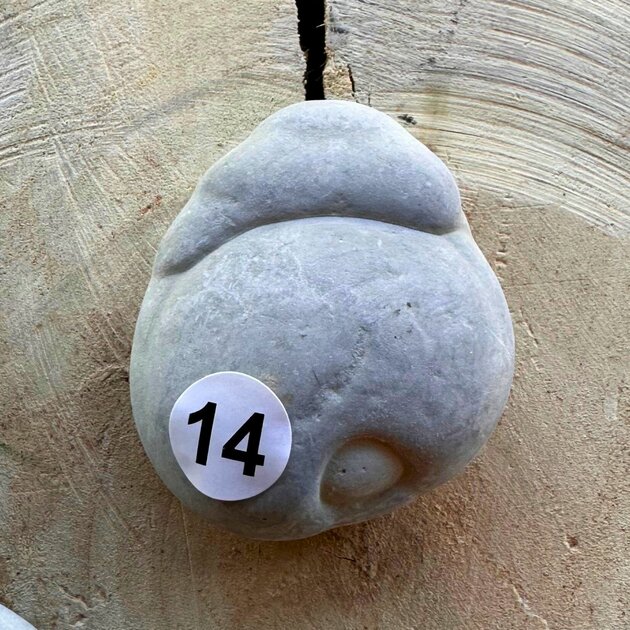 Pendentif Pierre Des Fées Naturelle 41 Carats - Canada - Modèle FT41 - Neuf Avec étiquette