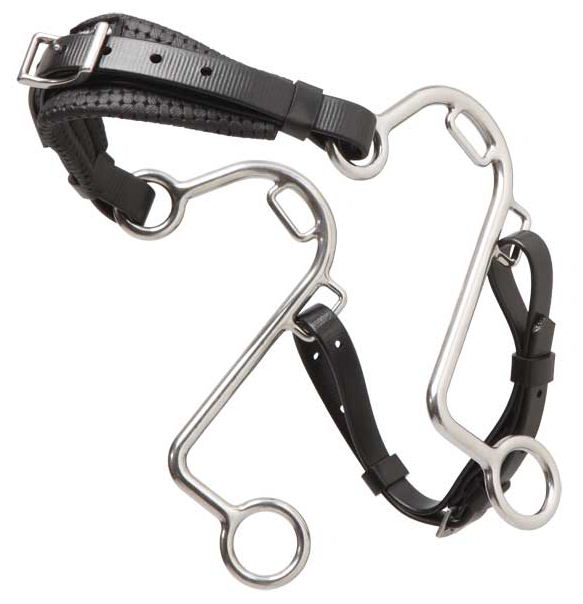 Hackamore S Zilco