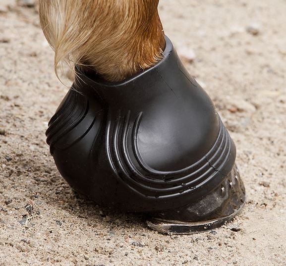 Cloche de protection pour cheval