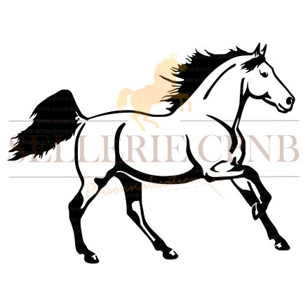 Autocollant sticker cheval au galop pour voitures